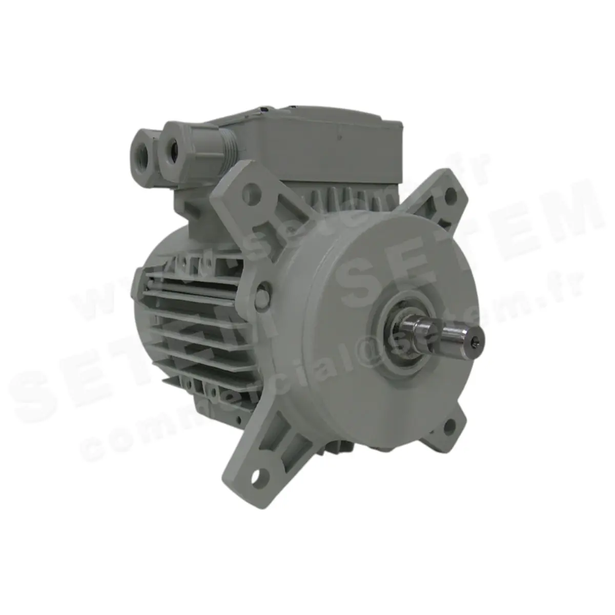 1828009205-MOTEUR FIR 46SKAH2