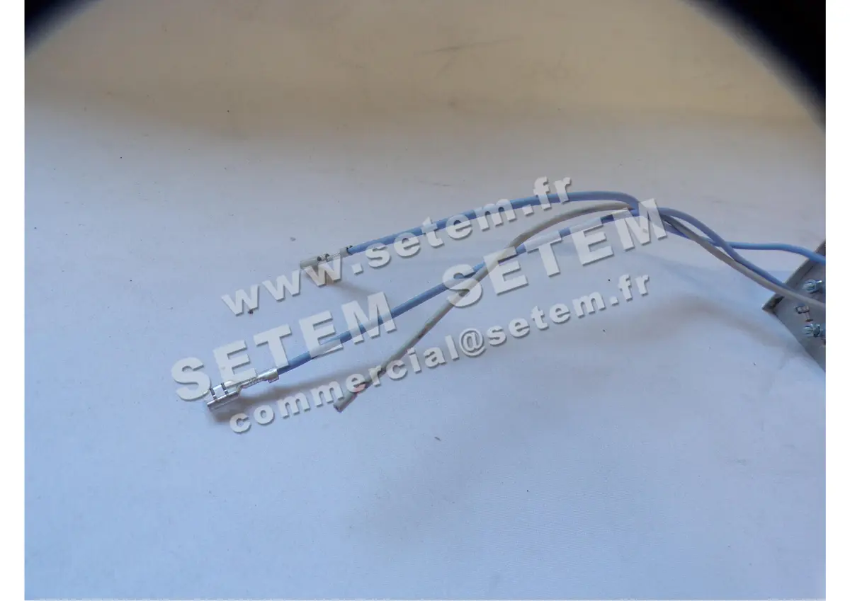 1840009560-RESISTANCE 059170 FERGAS 2