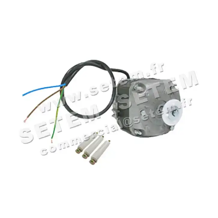 1868000381-MOTEUR FMI A210