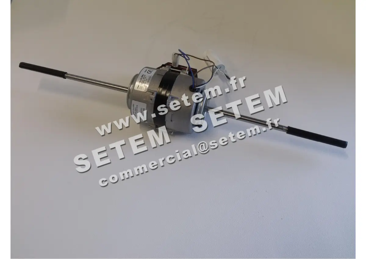 1868001000-MOTEUR FMI GA04