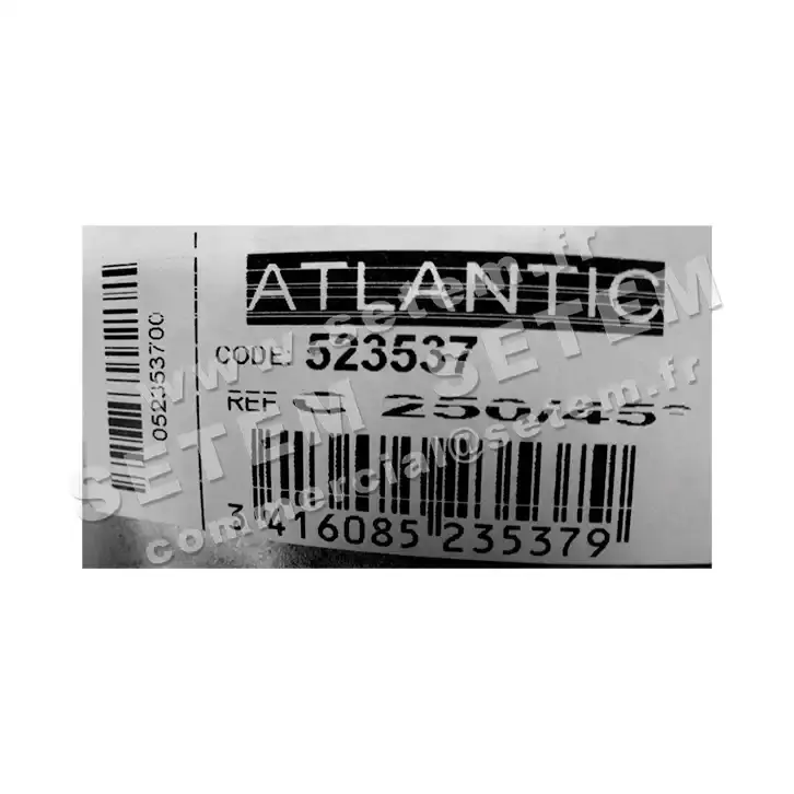 2421009865-COUDE 45° GALVA D250MM ATLANTIC 4