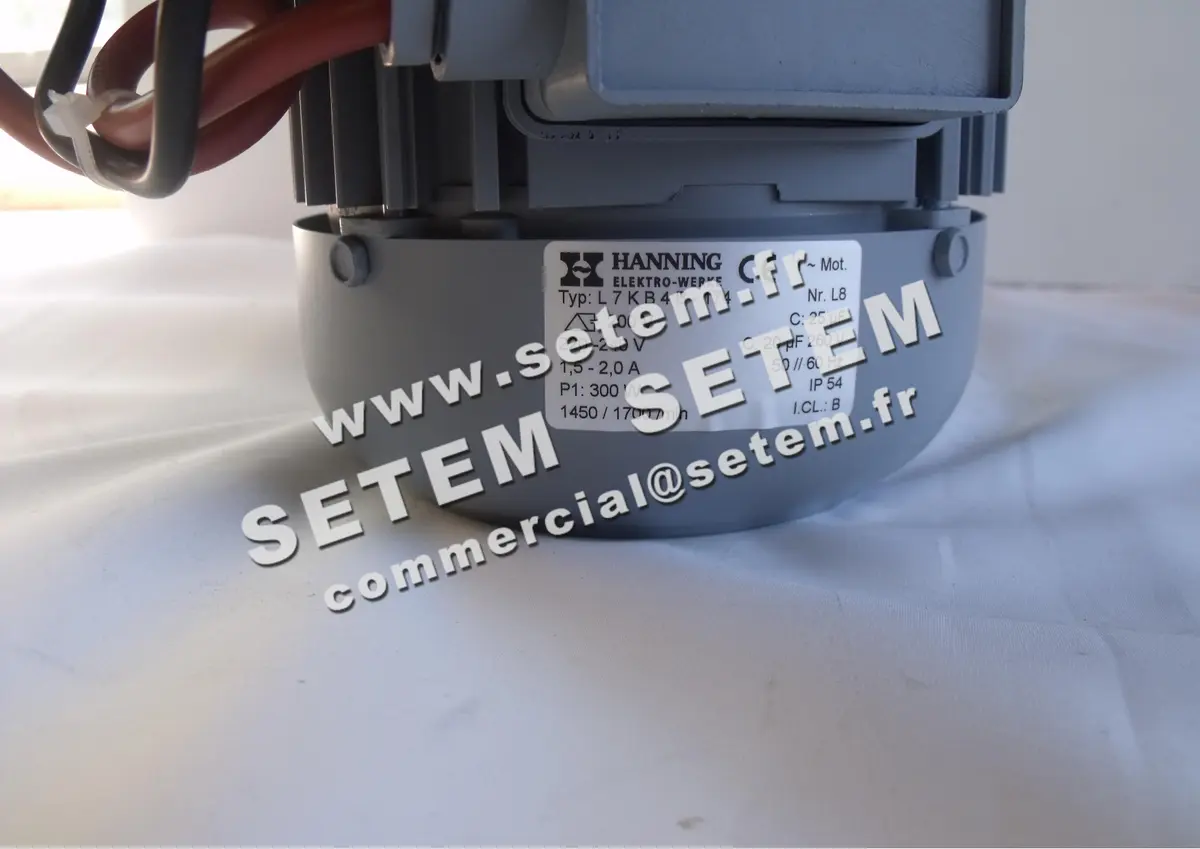 2729000174-VENTILATEUR HANNING TDS150 L7KB4B-174 *08.1000218*