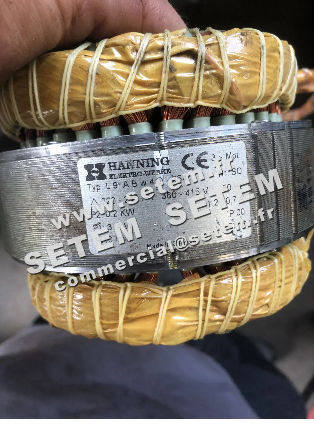 2729001858-MOTEUR HANNING L9ABW4D-354