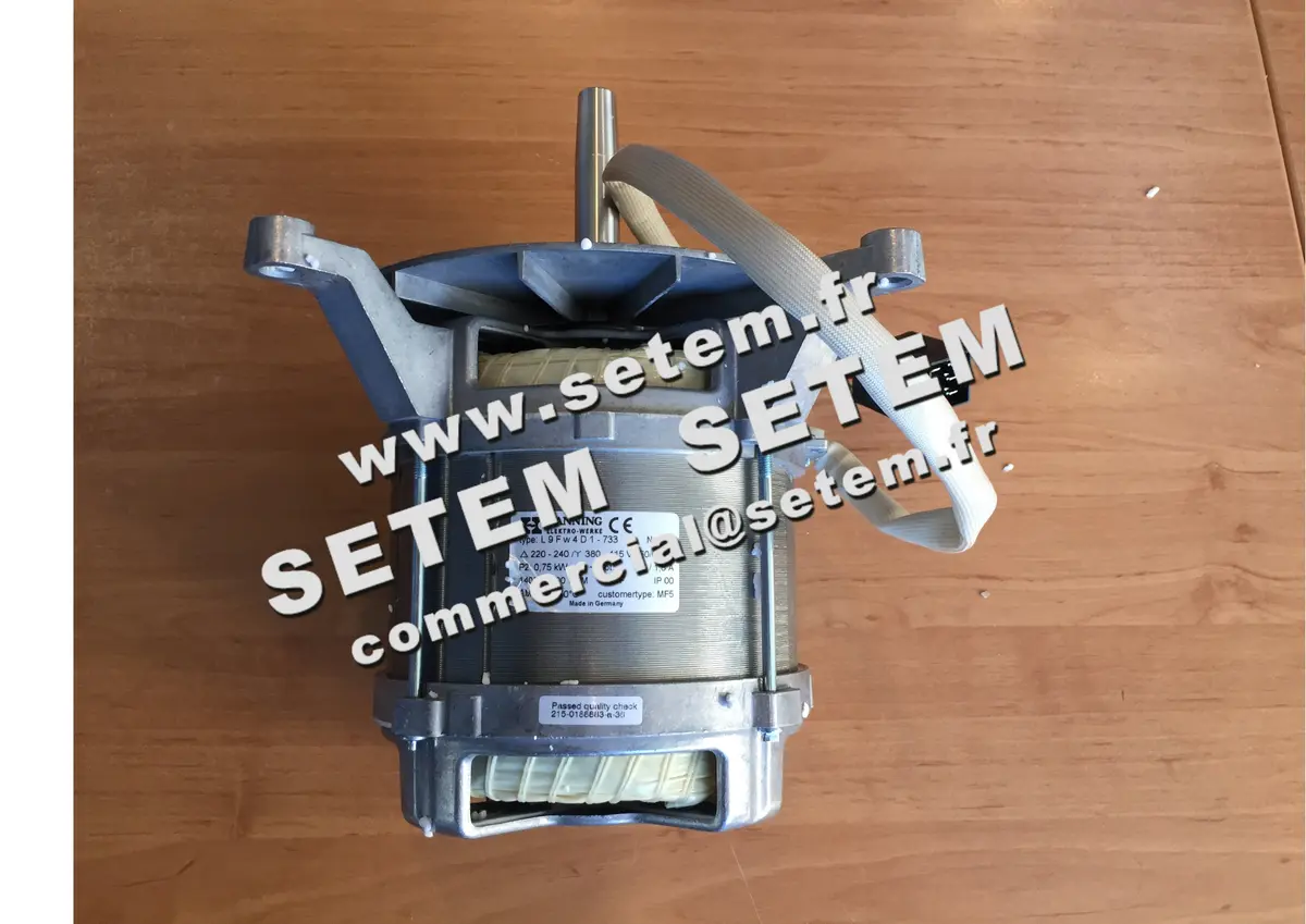 2729005122-MOTEUR HANNING L9FW4D1.733 MF5 3