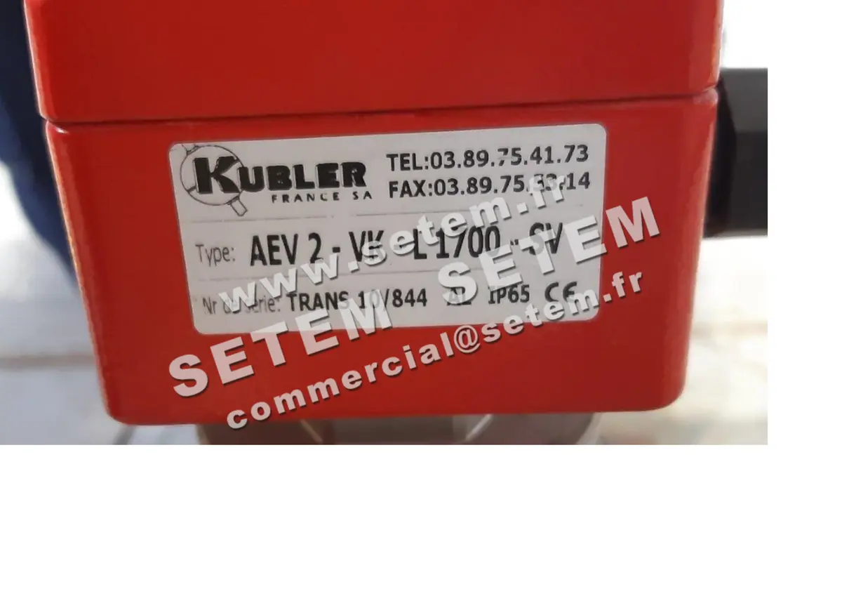 3614009625-TRANSMETTEUR DE NIVEAU KUBLER MAGNETIQUE AEV2-VK-L1700-SV 2