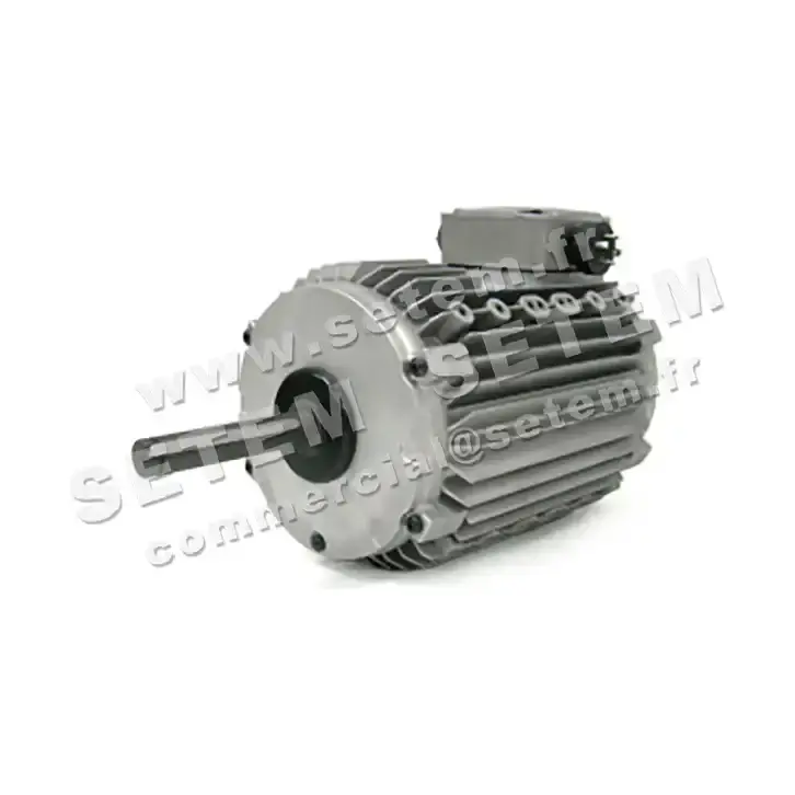 3902002005-MOTEUR LEROYSOMER CM29G/T 900/450/120W 700/600/300T "DK12AB033EE"