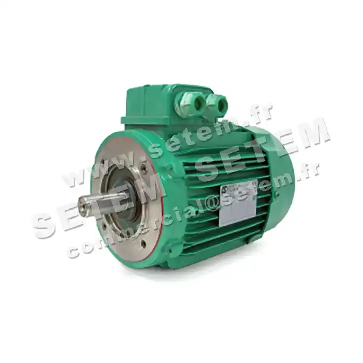 3902009542-MOTEUR LEROYSOMER 1.40/0.50KW 4/6P T400V HA90 B14 LS90LT