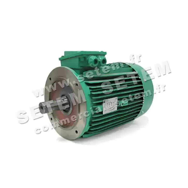 3902009557-MOTEUR LEROYSOMER 4KW 6P T400/690V HA132 B14 LS132M