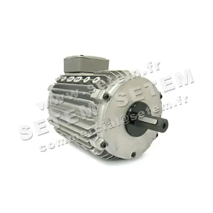 3902009578-MOTEUR LEROYSOMER CM29G/T 220/90W 12P T400V