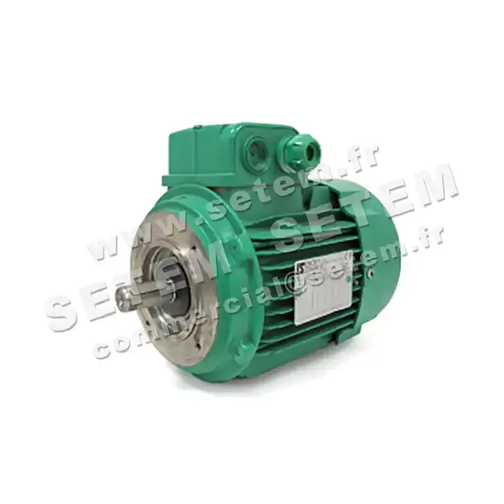 3902009611-MOTEUR LEROYSOMER 0.75/0.12KW 4/8P T400V HA80 B14 LS80LT