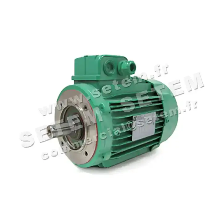 3902009612-MOTEUR LEROYSOMER 1.50/0.25KW 4/8P T400V HA90 B14 LS90LT