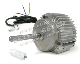 3938000161-MOTEUR LEMMENS C001400 "130015"