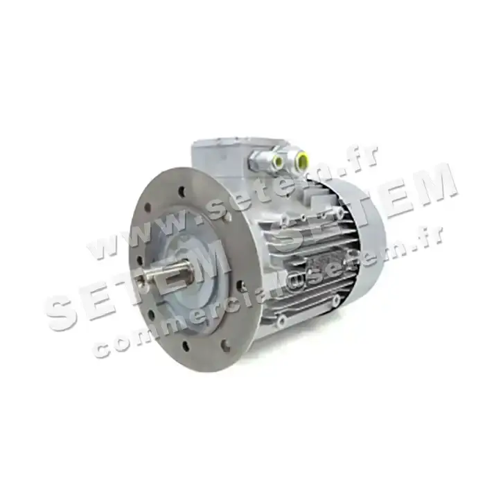 4360000081-MOTEUR MEZ 2.20KW 2P T230/400V HA90 B5 7AA90L02