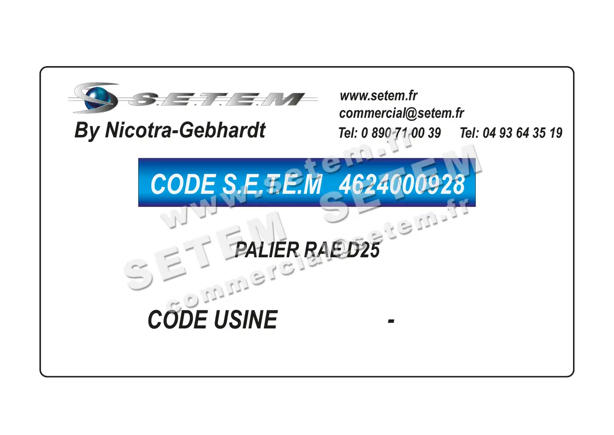4624000928-PALIER RAE D25 NICOTRA GEBHARDT