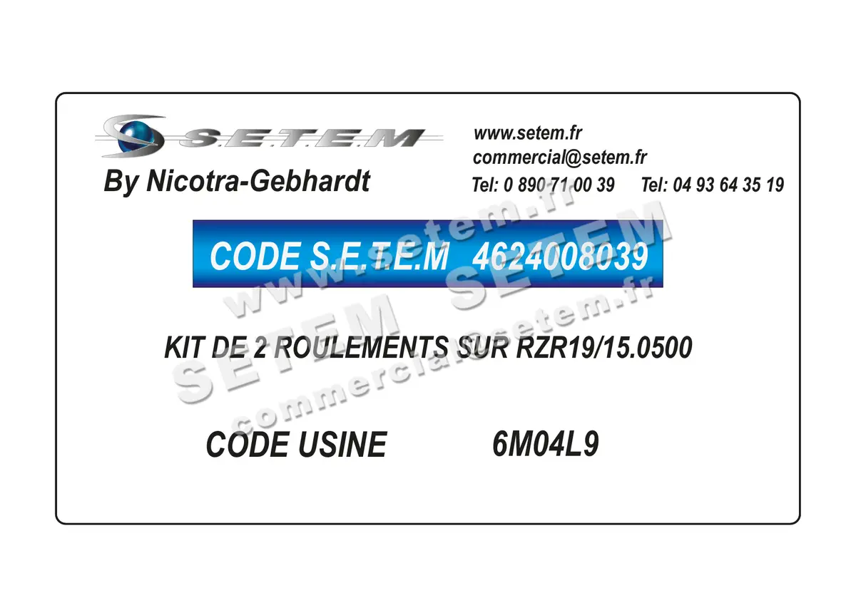 4624008039-KIT DE 2 ROULEMENTS SUR RZR19/15.0500 NICOTRA GEBHARDT