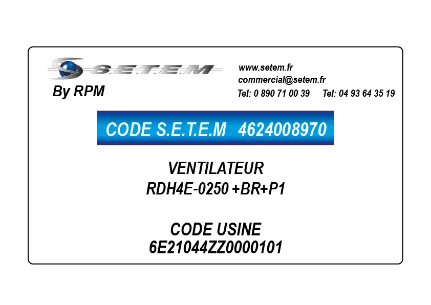 4624008970-VENTILATEUR NICOTRA GEBHARDT RDH4E-0250 +BR+P1 *6E21044ZZ0000101*