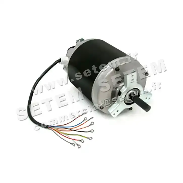 4624009051-MOTEUR NICOTRA GEBHARDT P60635 E0A1706 "141939"