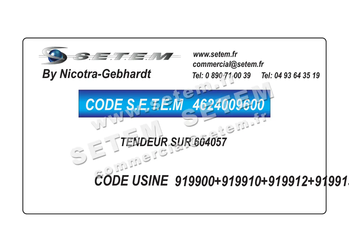 4624009600-TENDEUR SUR 604057 NICOTRA GEBHARDT 919900+919910+919912+919913+919914+919923