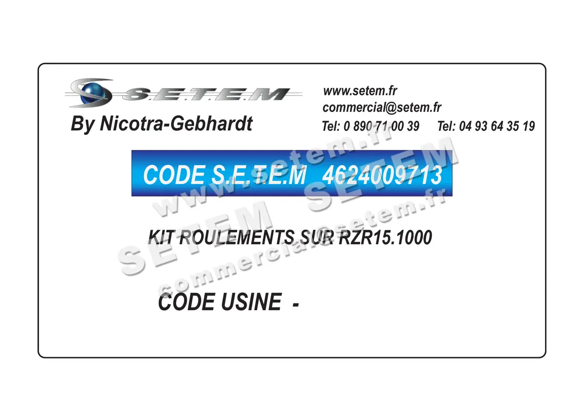4624009713-KIT ROULEMENTS SUR RZR15.1000 NICOTRA GEBHARDT