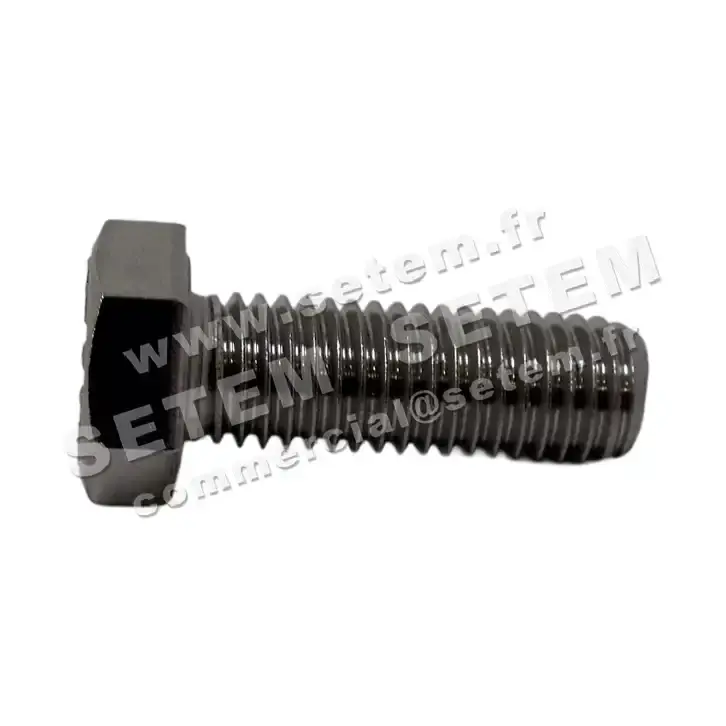 5179009853-VIS BLOCAGE TURBINE PLASTIFER M6X25 VIS ACC ZIN TETE PP 2