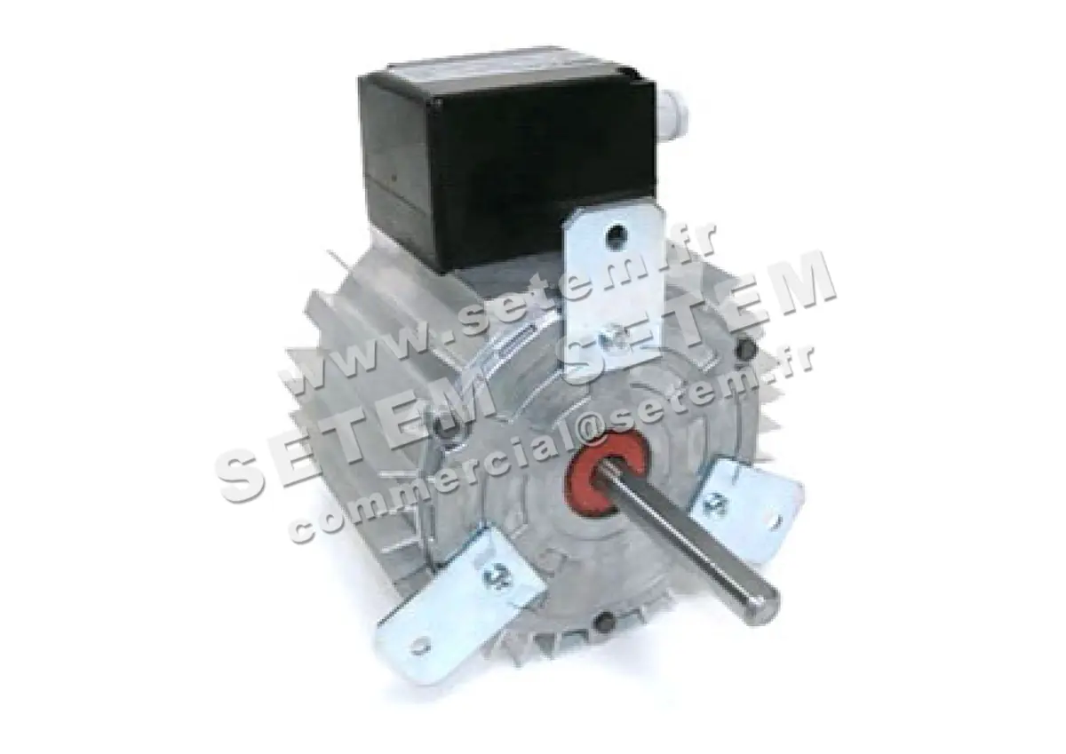 5726000024-MOTEUR RPM 11008011