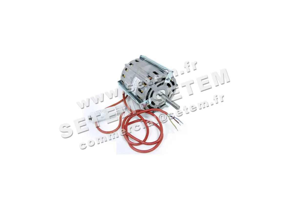 5726000080-MOTEUR RPM 11000813