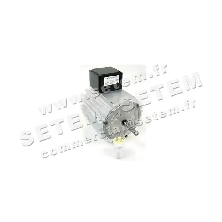 5726000212-MOTEUR RPM 11008020