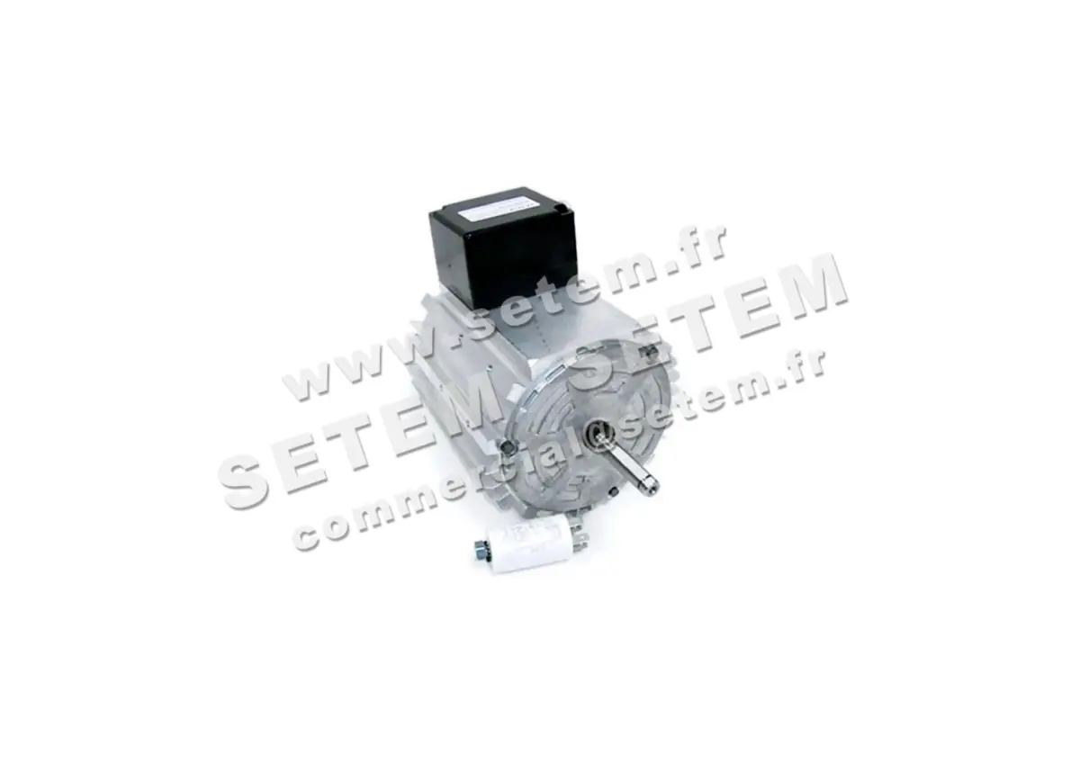5726000239-MOTEUR RPM 11017308