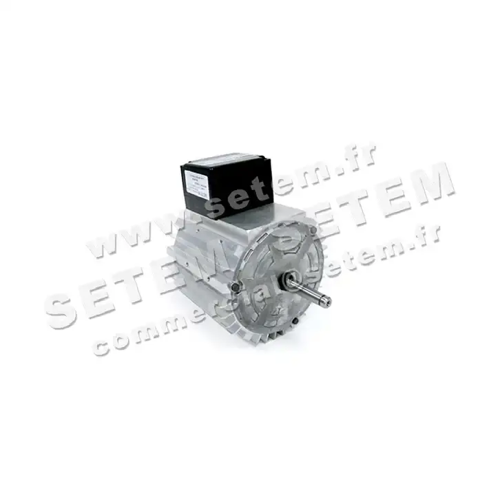 5726000251-MOTEUR RPM 11046202