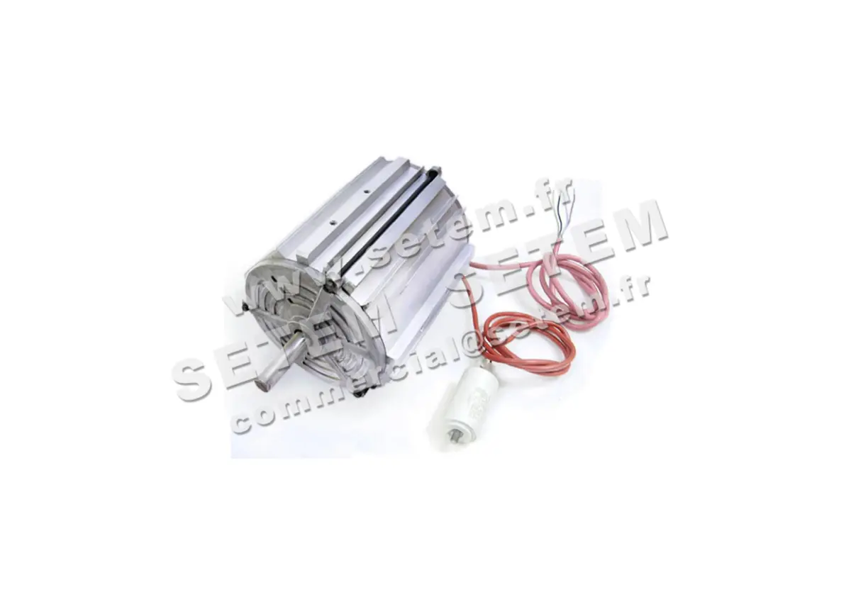 5726000300-MOTEUR RPM B005200