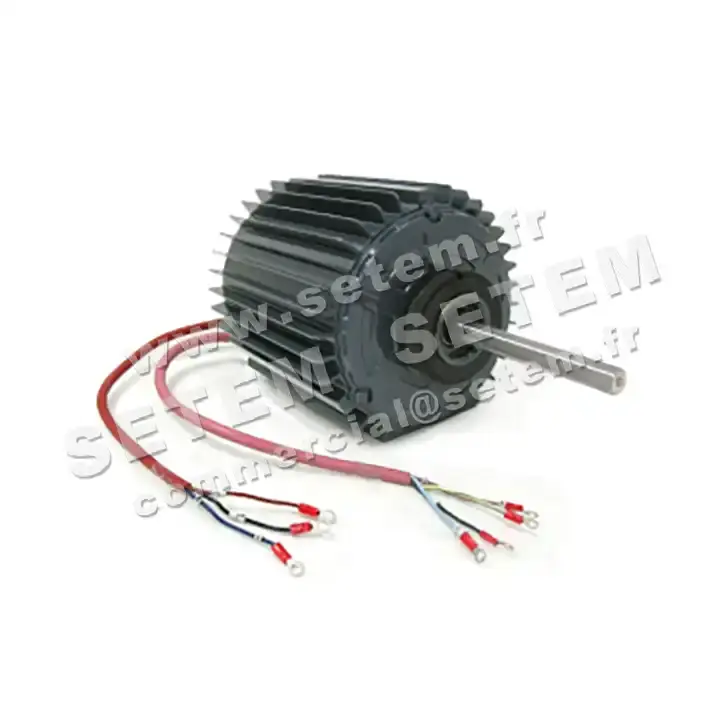 5726000735-MOTEUR RPM 11034307