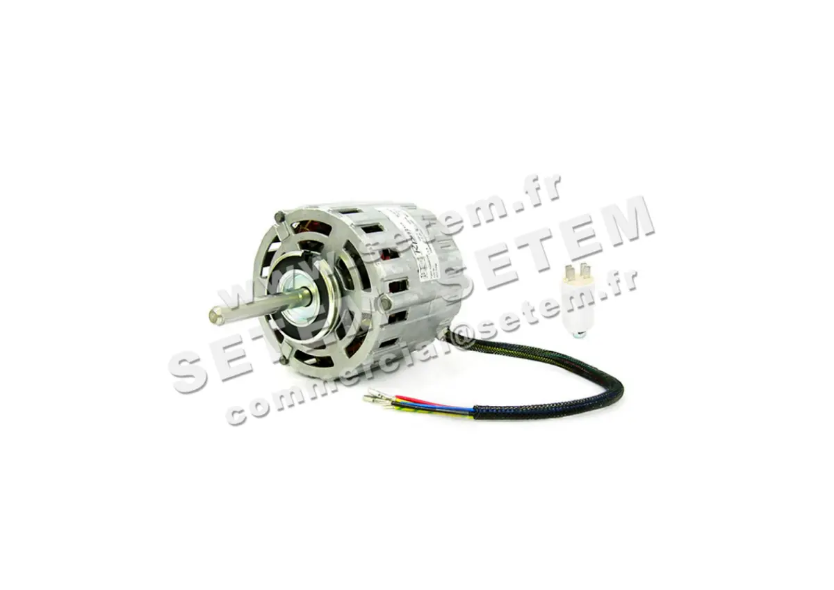5726001010-MOTEUR RPM 11006318