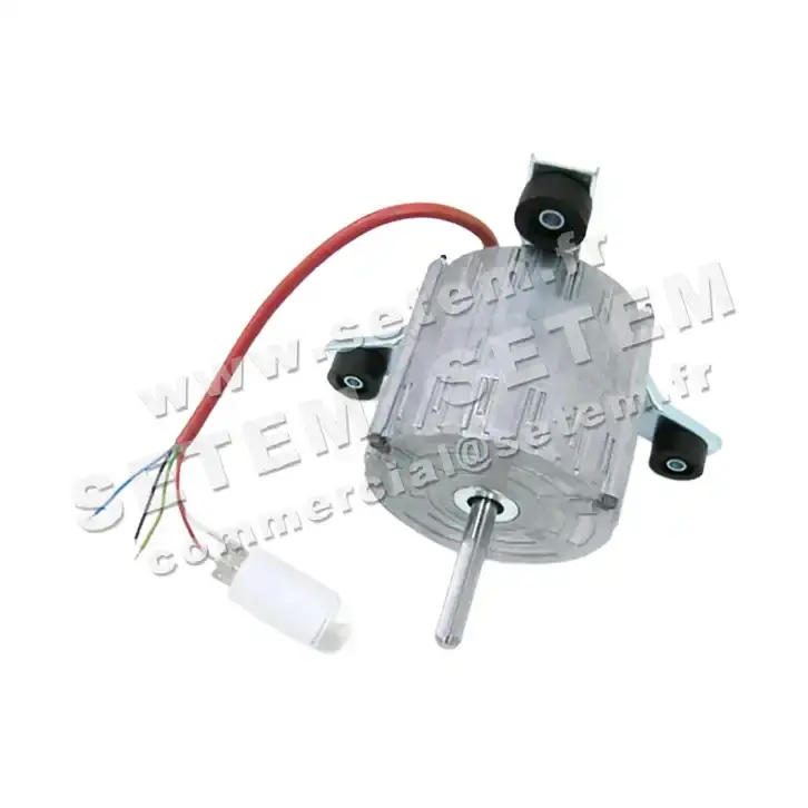 5726001017-MOTEUR RPM 11000702