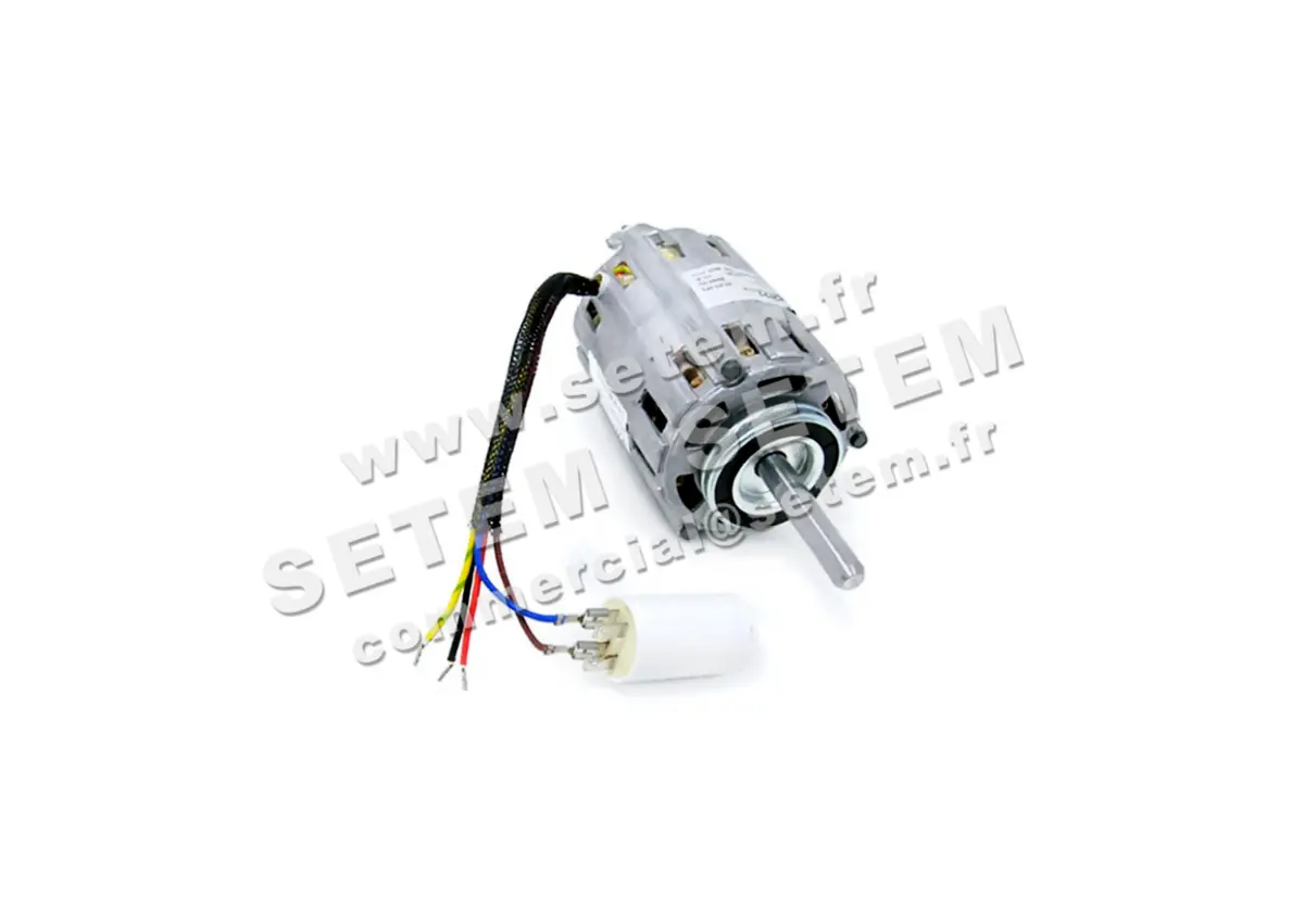 5726001029-MOTEUR RPM C003100