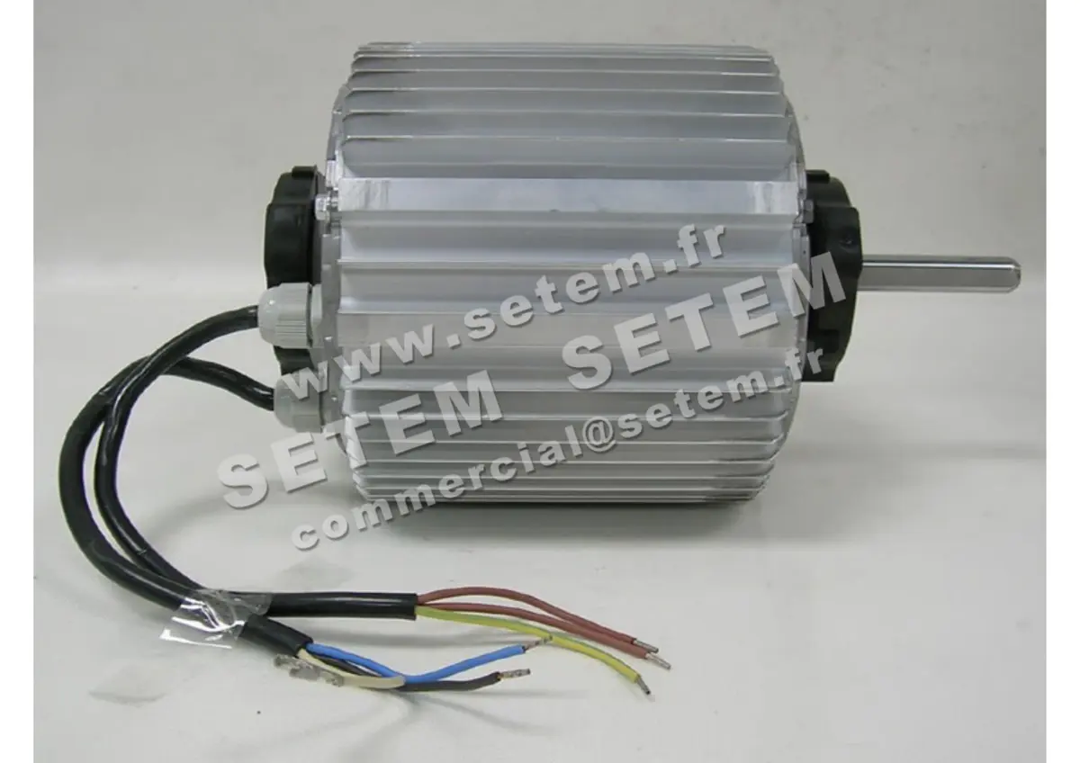 5726001256-MOTEUR RPM 11010531