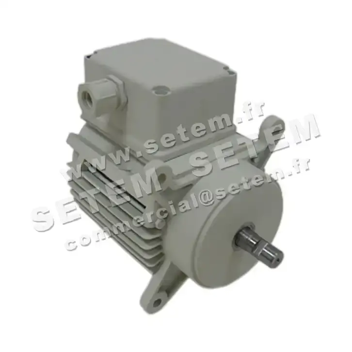 5726002049-MOTEUR RPM C027100