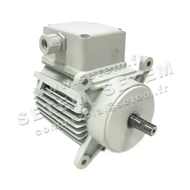 5726002064-MOTEUR RPM C028500 3