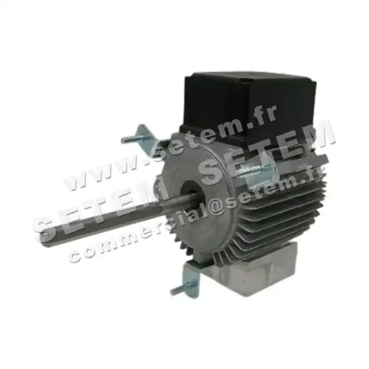 5726002161-MOTEUR RPM C036100 2