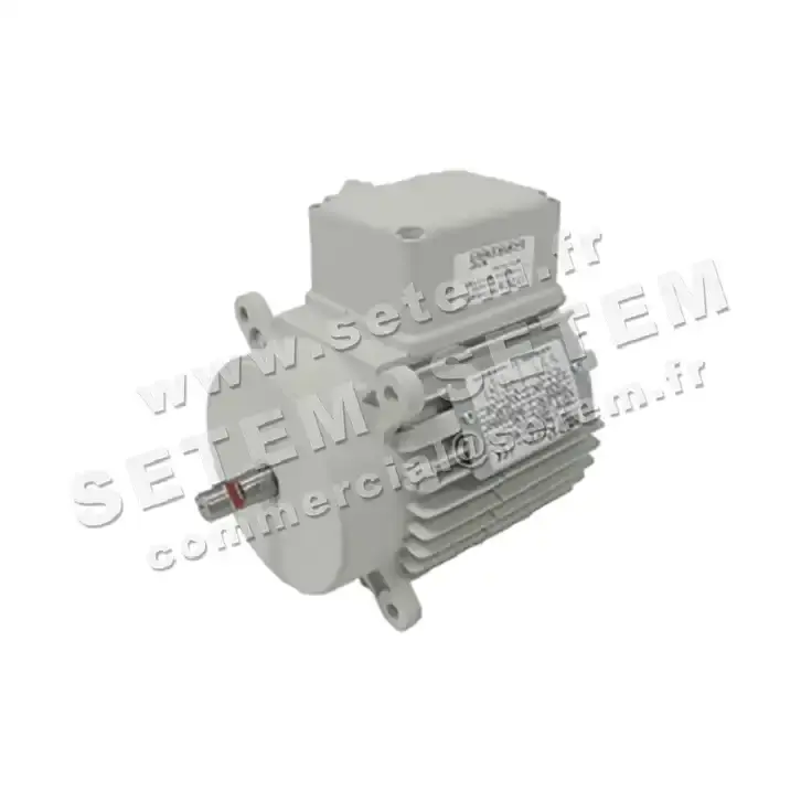 5726002211-MOTEUR RPM D002900 "3052003" 2