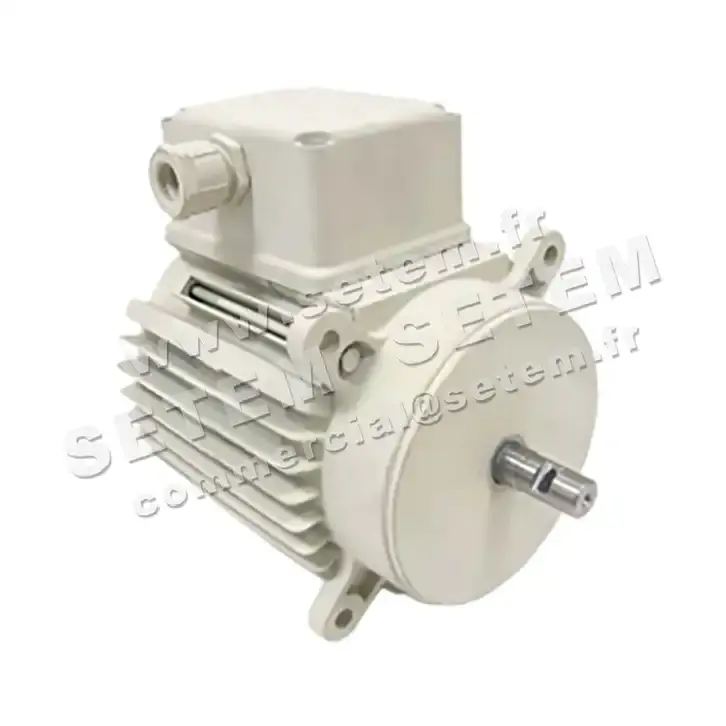 5726002213-MOTEUR RPM D003100 4AH5 "3050033" 3