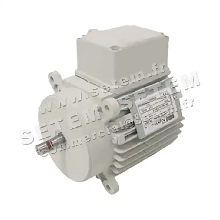 5726002217-MOTEUR RPM D003400 2