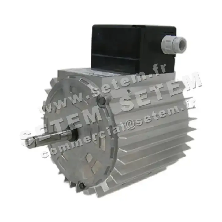 5726002221-MOTEUR RPM 11077400