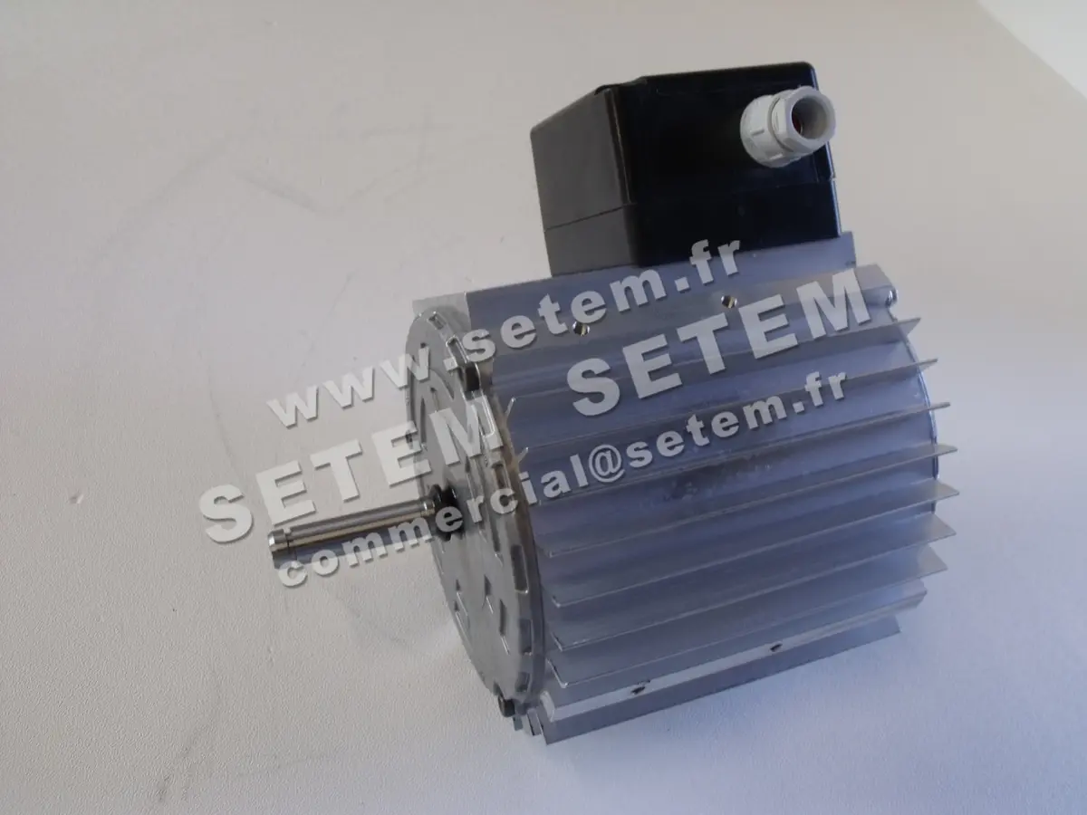 5726002221-MOTEUR RPM 11077400 3