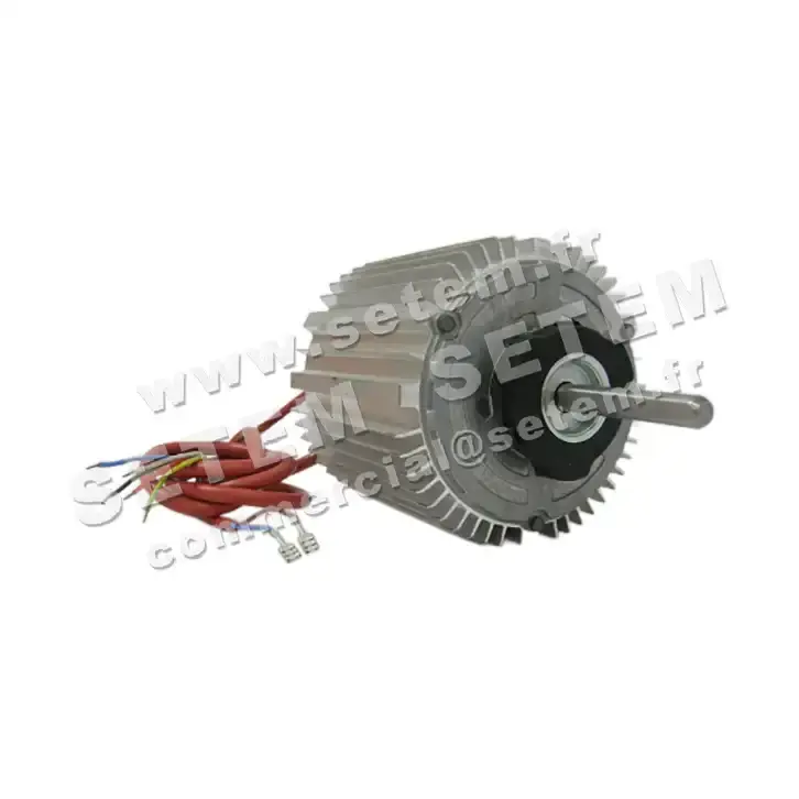 5726002309-MOTEUR RPM 11054002