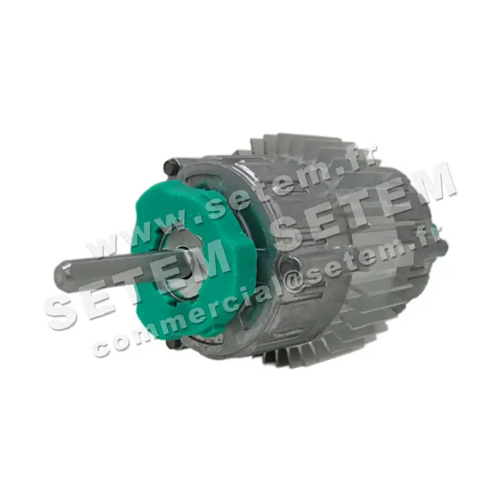 5726003170-MOTEUR RPM C001539 2
