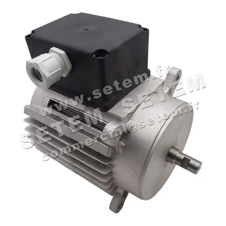 MOTEUR D009700 6AH56 "3051085" 6