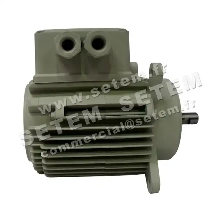5726004966-MOTEUR RPM C052400 46SKAH1 "3055030"