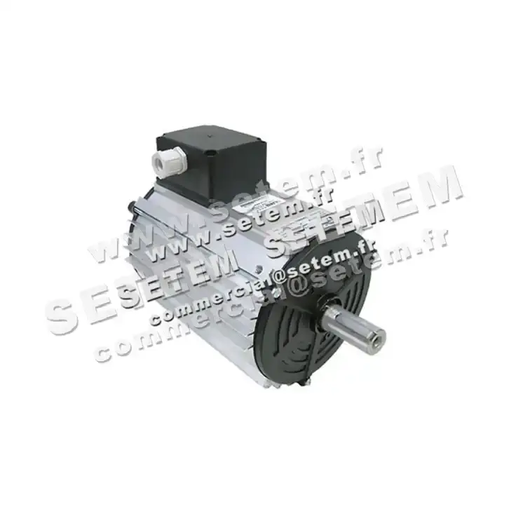 5740009190-MOTEUR ROSATI B006301