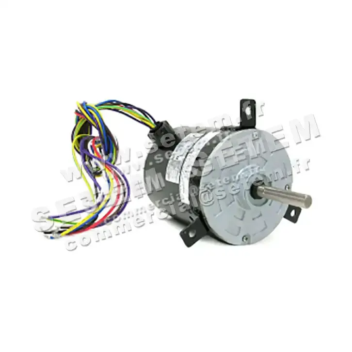 5743009142-MOTEUR REMCO DL2J6329K