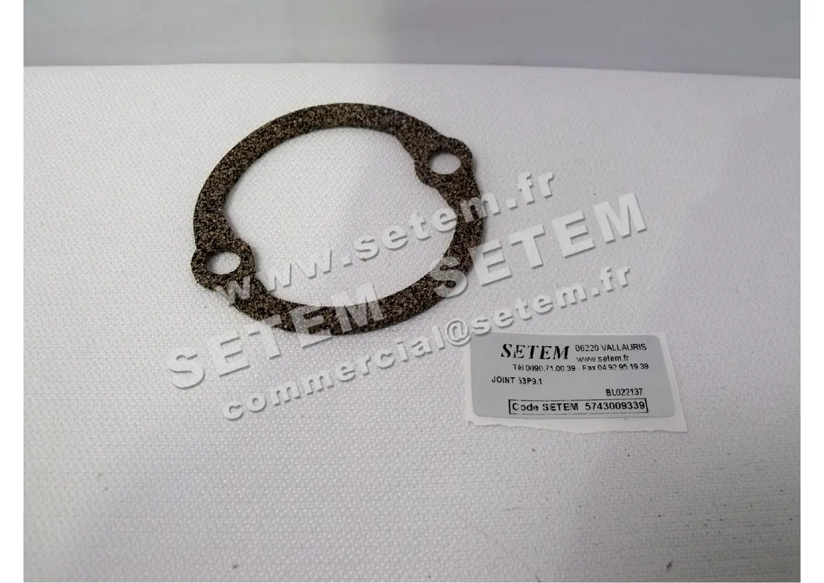 5743009339-JOINT 53P9.1 REMCO